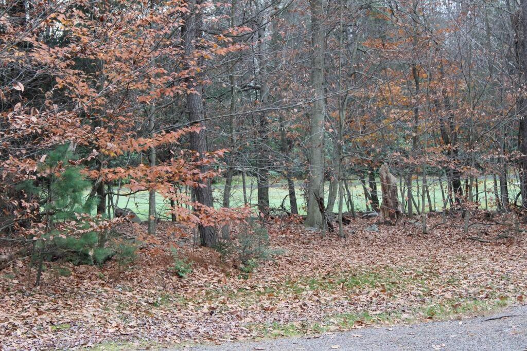 Luxury 4 Bedroom House In Pocono Mountains In Golf Course Near Lake Tobyhanna 외부 사진
